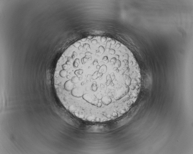 X0000110320366200907021207