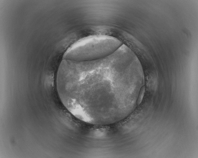 X0000110320368200907021207