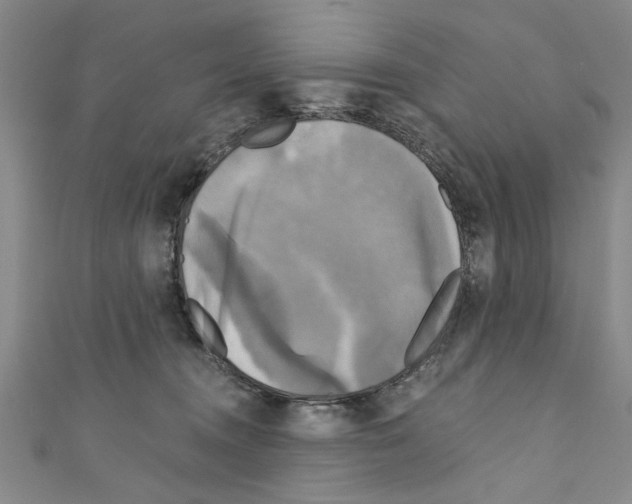 X0000110320372200907021207