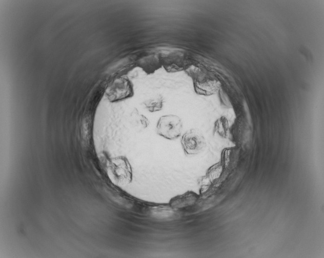 X0000110320373200907021207