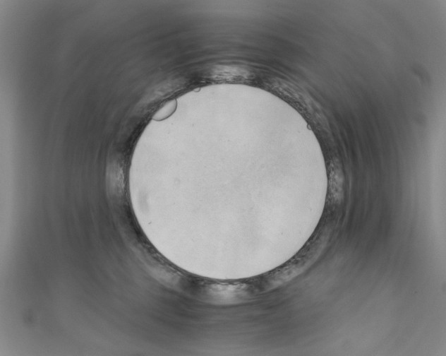 X0000110320375200907021207