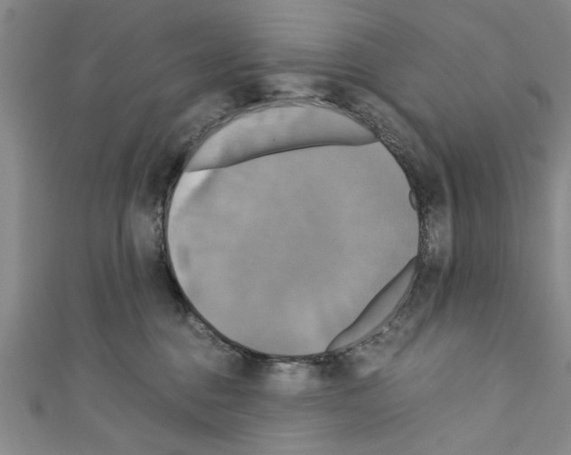 X0000110320376200907021207