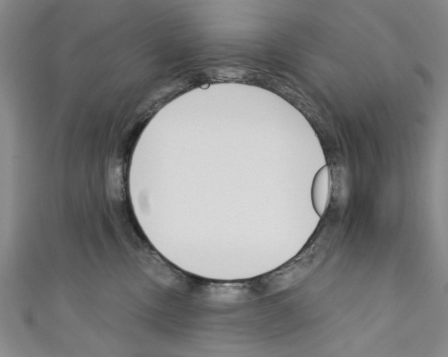 X0000110320378200907021207