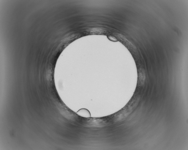 X0000110320379200907021207