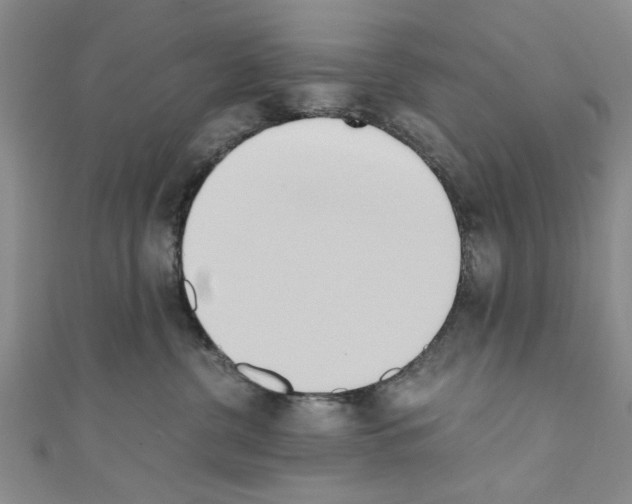 X0000110320380200907021207