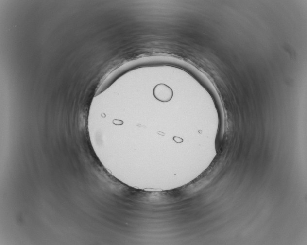 X0000110320382200907021207