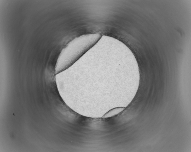 X0000110320384200907021207