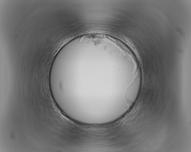 X0000110320385200907021206