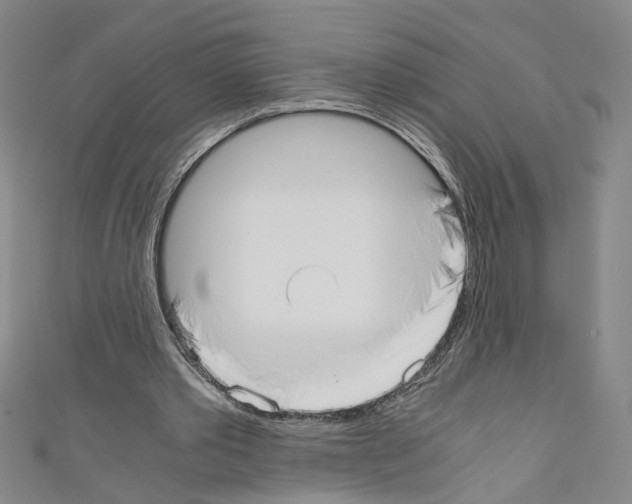 X0000110320389200907021206