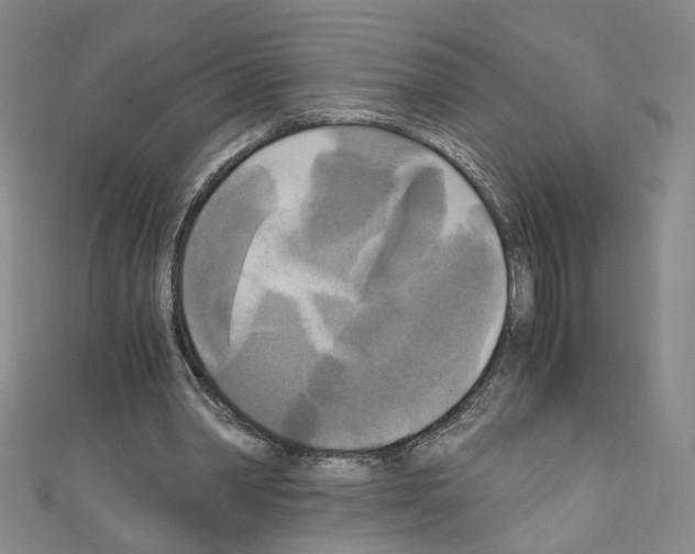 X0000110320390200907021206