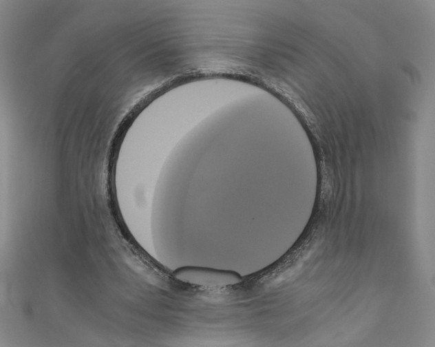 X0000110320391200907021206