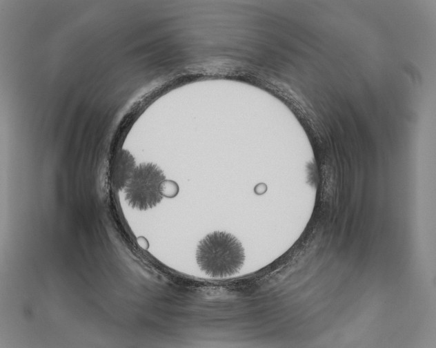 X0000110320392200907021206