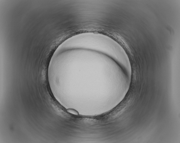 X0000110320393200907021206