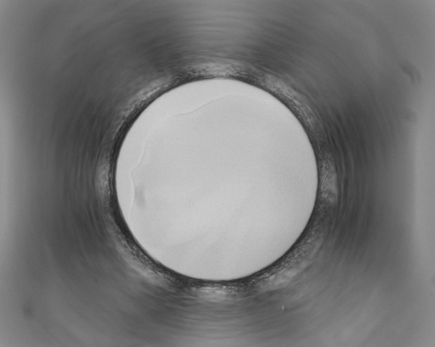 X0000110320394200907021206