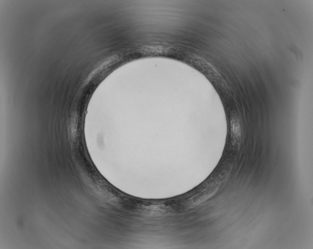 X0000110320396200907021206