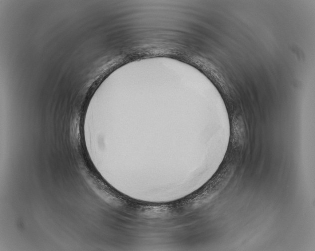 X0000110320398200907021206