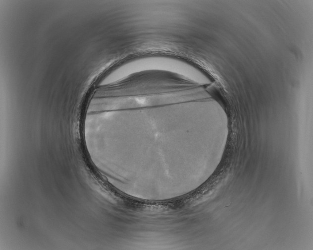 X0000110320399200907021206