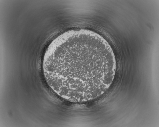 X0000110320403200907021206