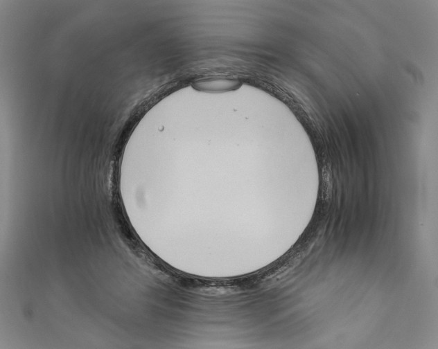 X0000110320404200907021206