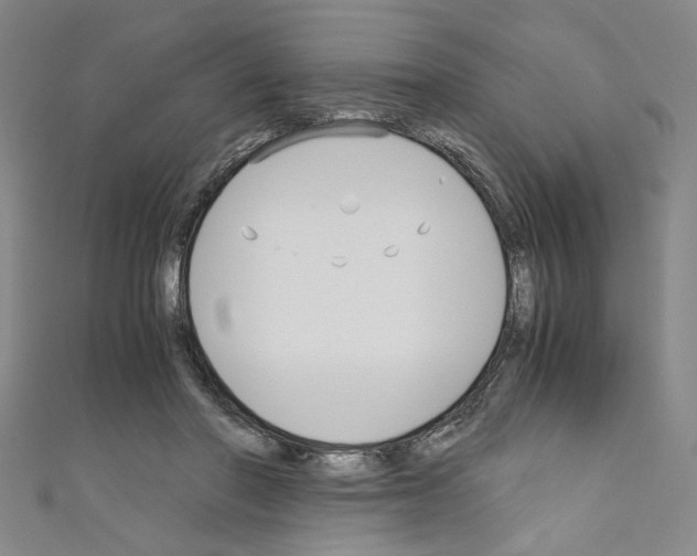 X0000110320406200907021206