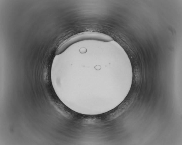 X0000110320408200907021206