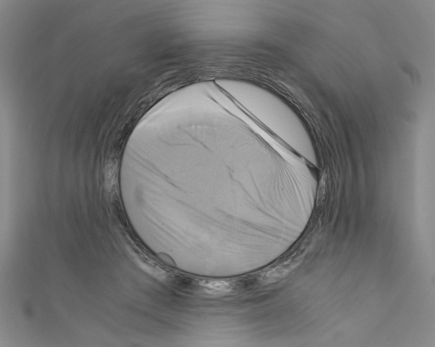 X0000110320409200907021206