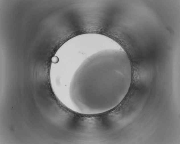 X0000110320411200907021206