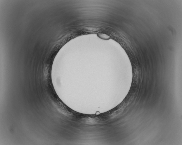 X0000110320412200907021206