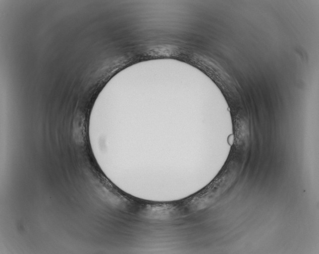 X0000110320414200907021206