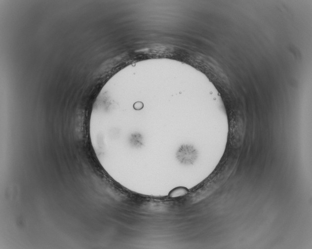 X0000110320416200907021206