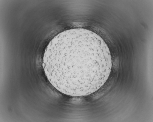 X0000110320418200907021206