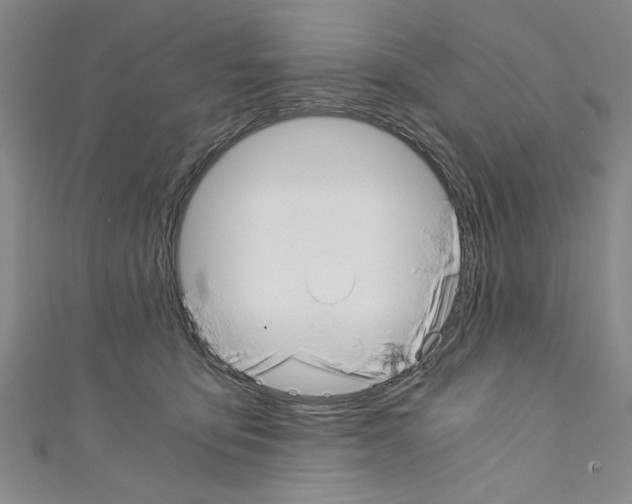 X0000110320419200907021206