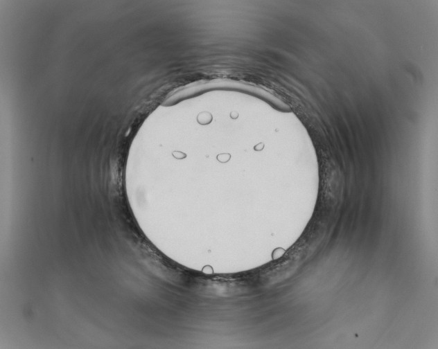 X0000110320420200907021206