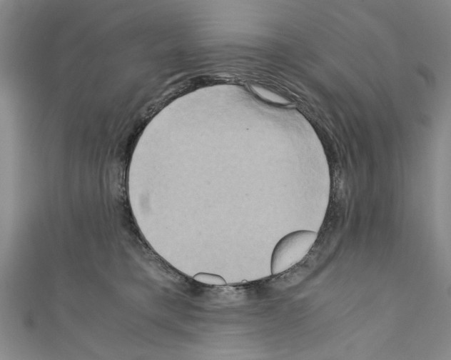 X0000110320421200907021206