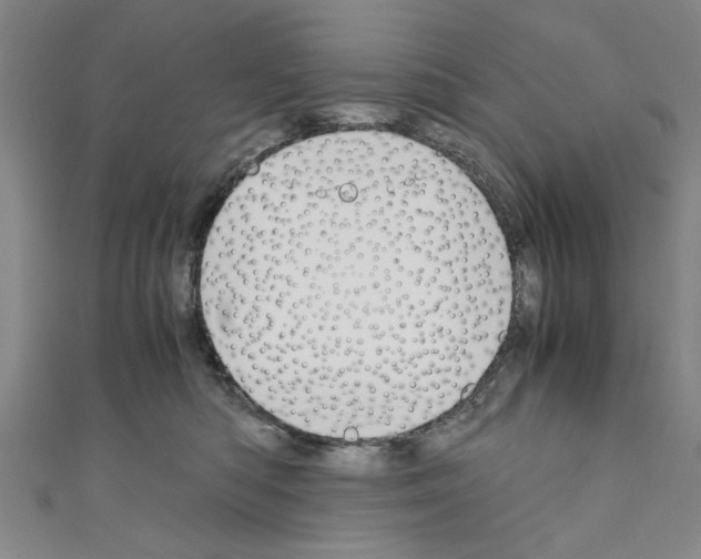 X0000110320422200907021206