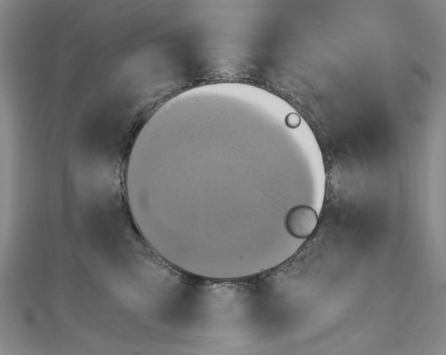 X0000110320423200907021206