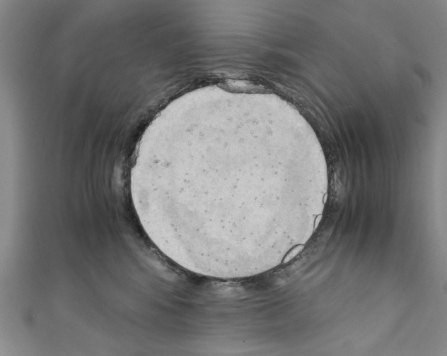 X0000110320424200907021206