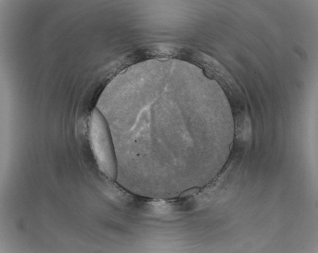 X0000110320425200907021206