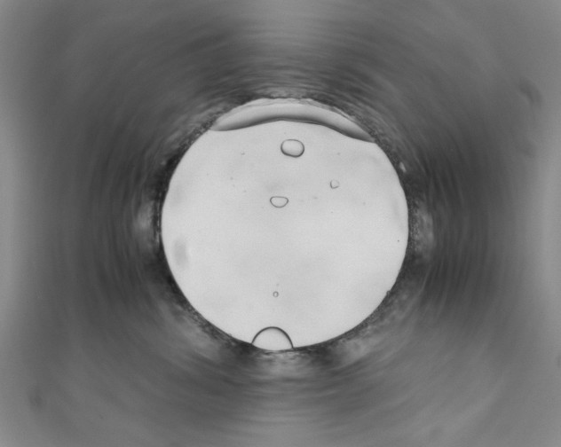 X0000110320428200907021206