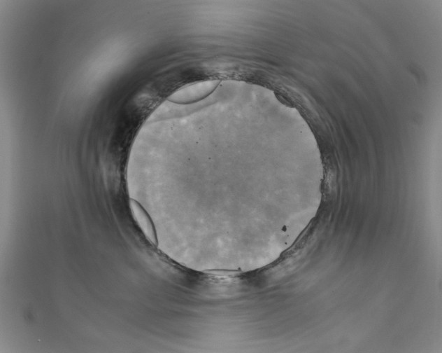 X0000110320429200907021206