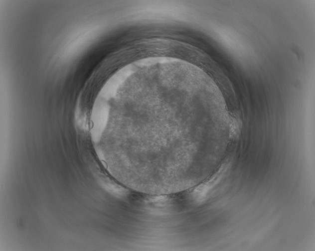 X0000110320431200907021206