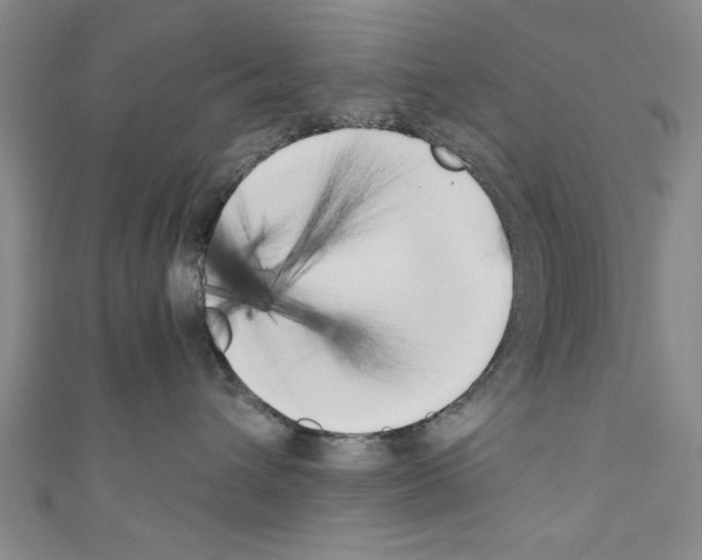 X0000110320432200907021206