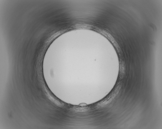 X0000110320433200907021205