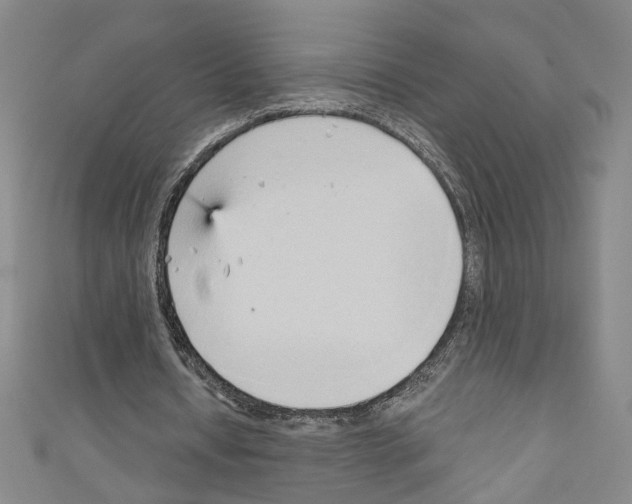 X0000110320434200907021205