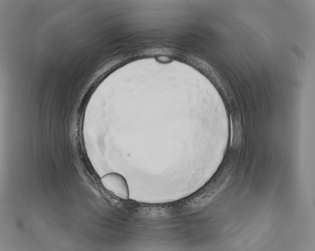 X0000110320435200907021205