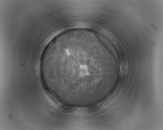 X0000110320436200907021205