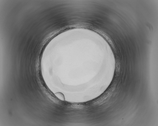 X0000110320437200907021205