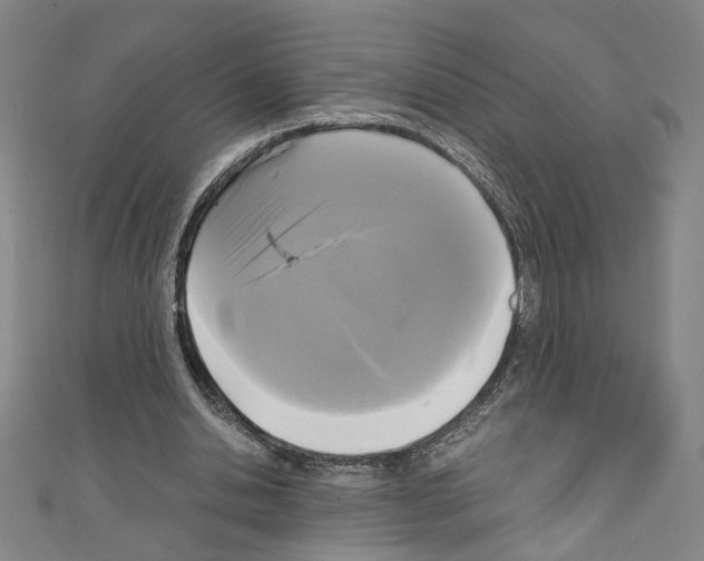 X0000110320438200907021205