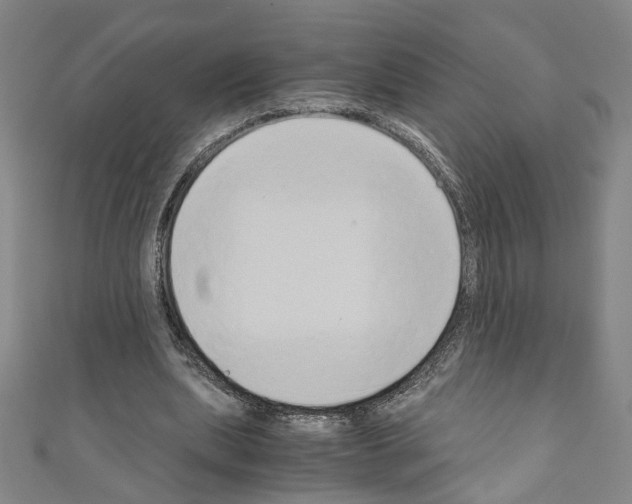 X0000110320439200907021205