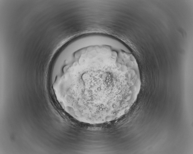 X0000110320440200907021205